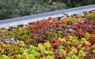 the cost of Broadsands green roof installation