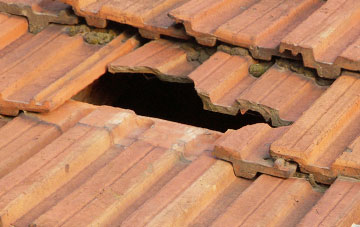 roof repair Broadsands, Devon